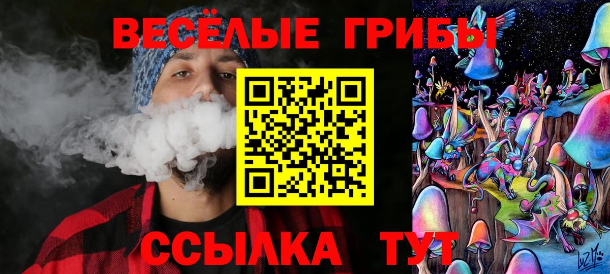 Псилоцибиновые грибы Psilocybe Саянск