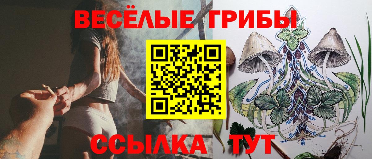 купить закладку  Вход с VPN  Псилоцибиновые грибы мицелий  Саянск  Галлюциногенные грибы Magic Shrooms 